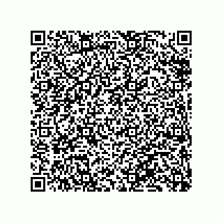vCard 79833240870