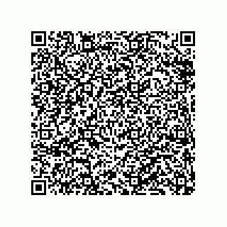 vCard 79833240873