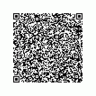 vCard 79833240881