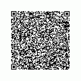 vCard 79833240903