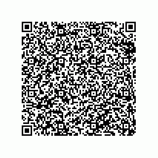 vCard 79833240911