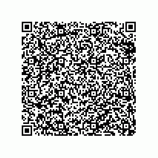 vCard 79833240917