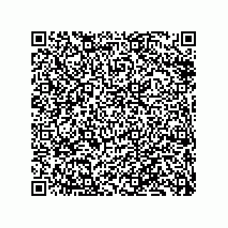 vCard 79833240984