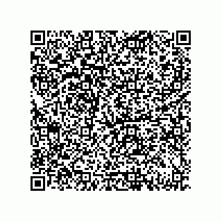 vCard 79833240994