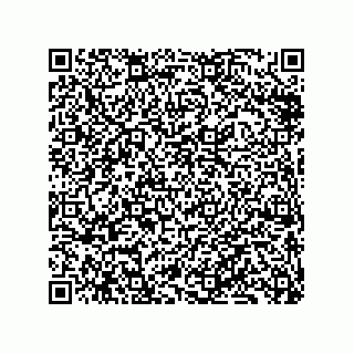 vCard 79833240995