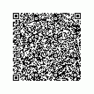 vCard 79833241003
