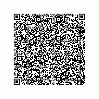 vCard 79833241004