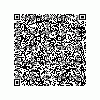 vCard 79833241009