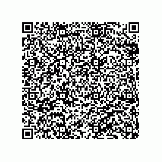 vCard 79833241011