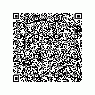 vCard 79833241019