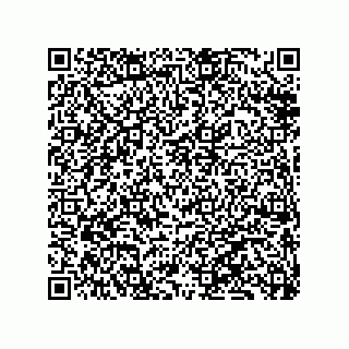 vCard 79833241028