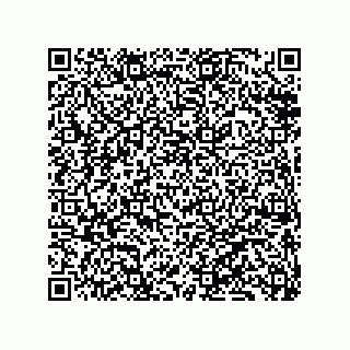vCard 79833241029