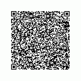 vCard 79833241038