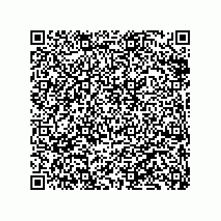vCard 79833241039
