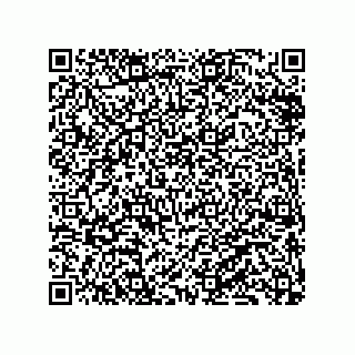 vCard 79833241053