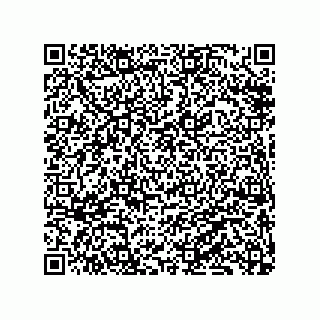 vCard 79833241063
