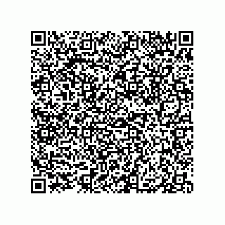 vCard 79833241100