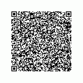 vCard 79833241109