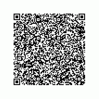 vCard 79833241173