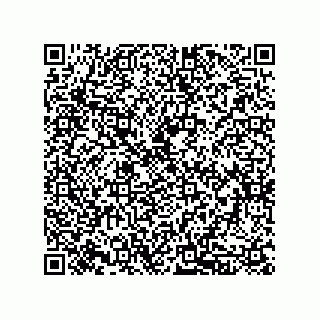 vCard 79833241179
