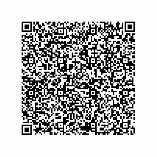 vCard 79833241228