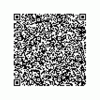 vCard 79833241300