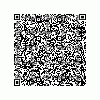 vCard 79833241304