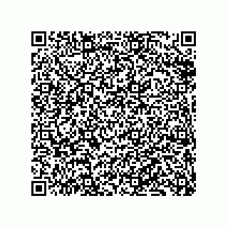 vCard 79833241305