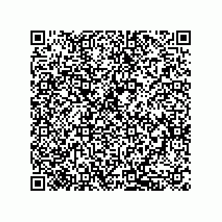 vCard 79833241324
