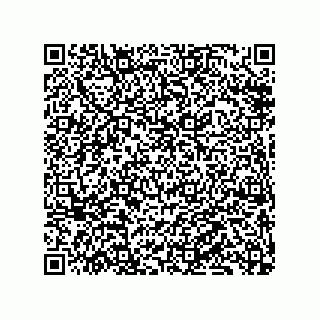 vCard 79833241363