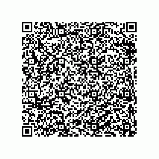 vCard 79833241373