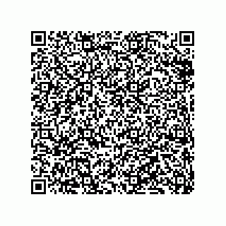 vCard 79833241539