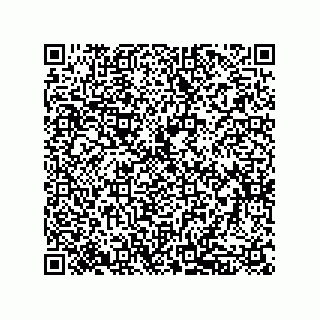 vCard 79833242011