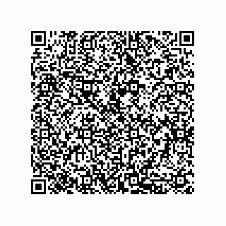vCard 79833242028