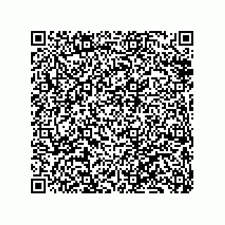 vCard 79833242029