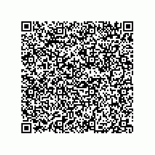 vCard 79833242041