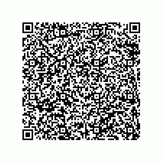 vCard 79833242075
