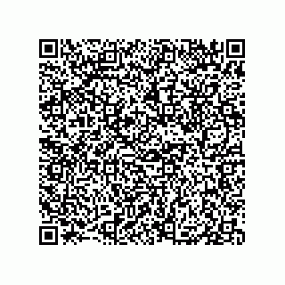 vCard 79833242080