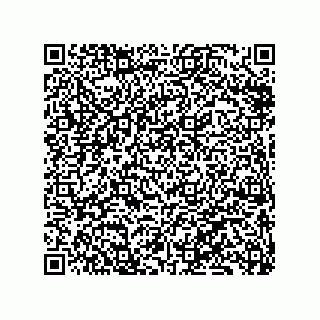 vCard 79833242099