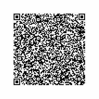 vCard 79833242381