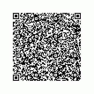 vCard 79833242409
