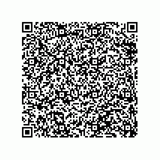 vCard 79833242878