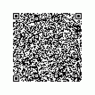 vCard 79833242938