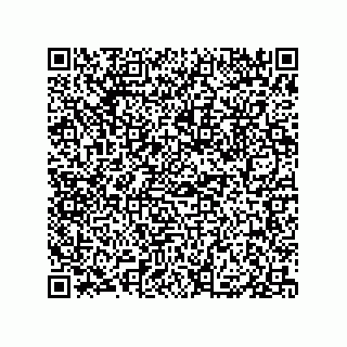 vCard 79833242981