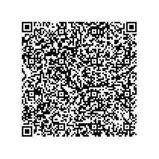 vCard 79833243153