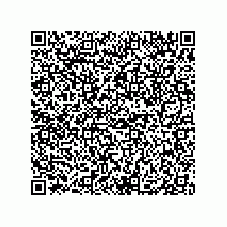 vCard 79833243208