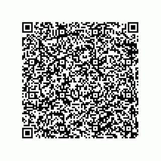 vCard 79833243373