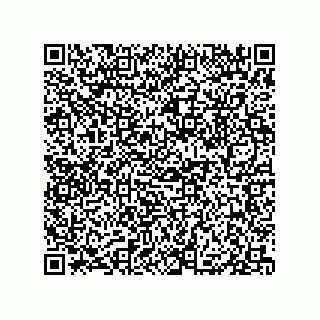 vCard 79833243381