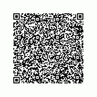 vCard 79833243538