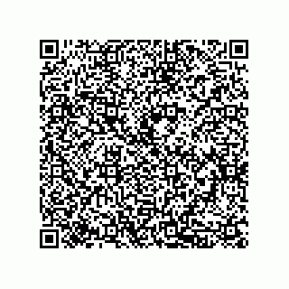 vCard 79833243539